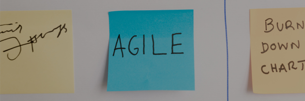 Agile, Hybrid, Agentic: Why Flexibility Beats Frameworks